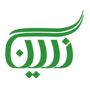 کد تخفیف میوه خشک نگین